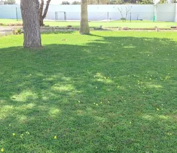 Camping En El Centro De Bienestar Tfm *