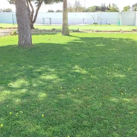 Campsite En El Centro De Bienestar Tfm *