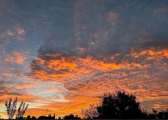 Campsite En El Centro De Bienestar Tfm Cadiz