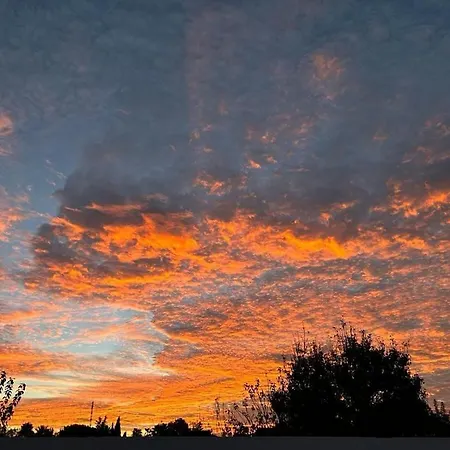Kemping En El Centro De Bienestar Tfm Cádiz